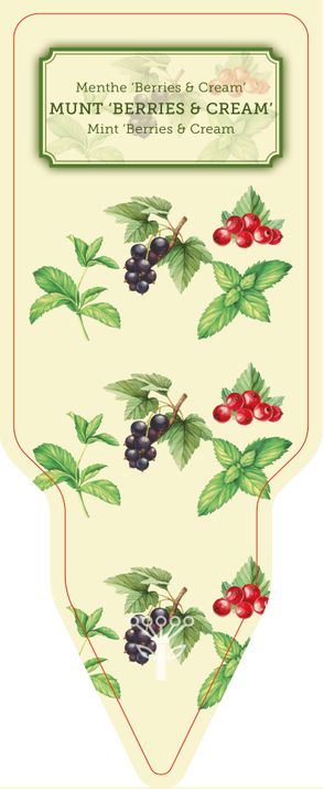 028_R_Munt-Berries-Cream_001-00